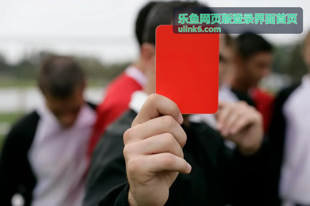 乐鱼网页版登录界面首页 - 安全认证展示